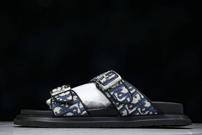 D1R* SLIDE copshoe  DR-SLIDE 013