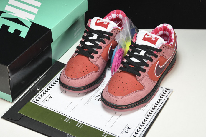 Nike SB Dunk Low Concepts Red Lobster  313170-661