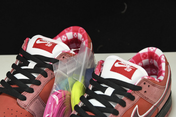 Nike SB Dunk Low Concepts Red Lobster  313170-661