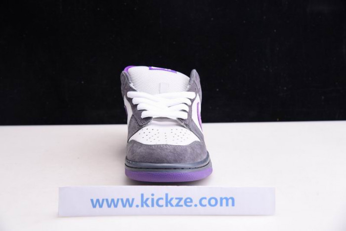 NIKE DUNK SB LOF PURPLE PIGEON 304292-051