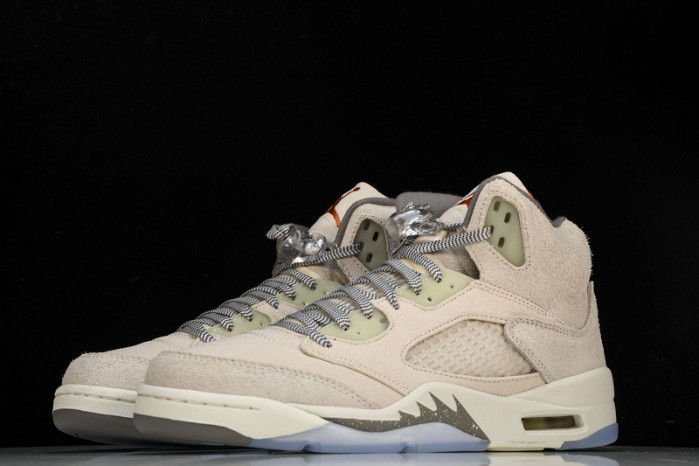 Air Jordan 5 Retro SE 